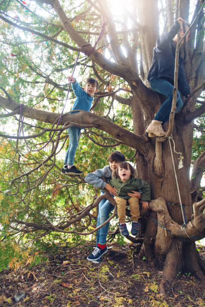 istock Little boy with down syndrome having activities with family 1049408352