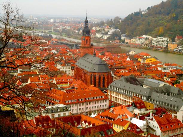 istock Rooftop view of Heidelberg, Germany 1049411096