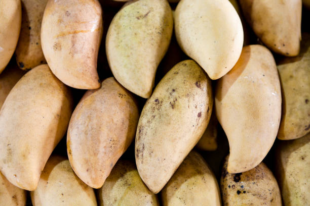 istock Fresh Yellow Mangoes 1049415934