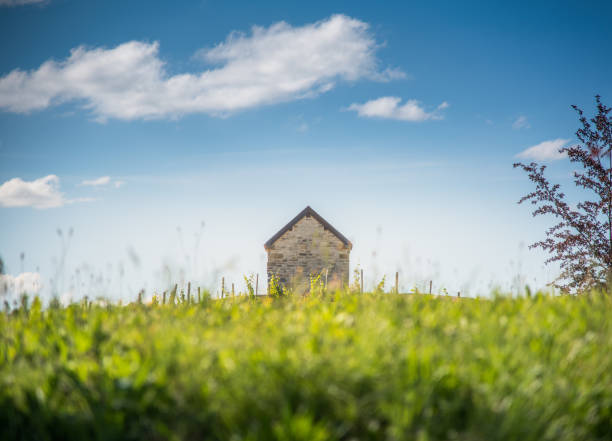 A brick cottage among the meadow stock photo