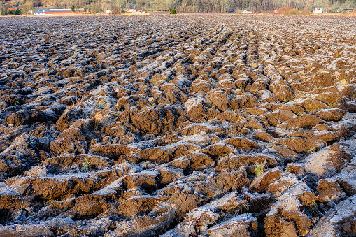 Plowed field in frost
