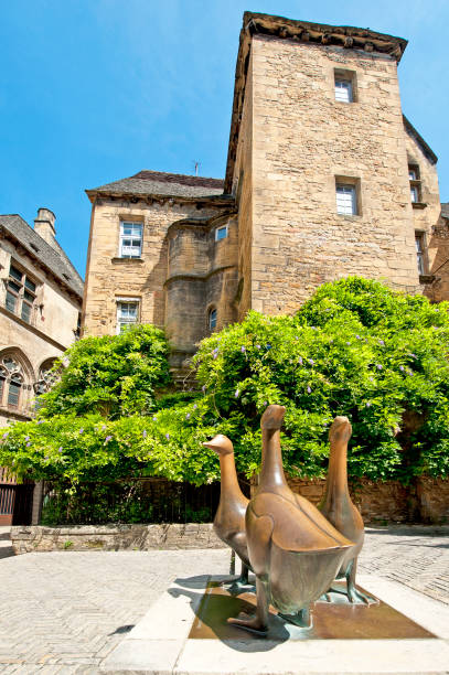 Tribute to Foie Gras, Sarlat, Dordogne, France Sarlat-la-Canéda, Dordogne, Nouvelle-Aquitaine, France. An homage to Foie Gras pate made from goose livers with this bronze statue of three geese near the town square, typical traditional architecture style of the homes and houses found in the backstreet alleys between buildings of stone construction in the ancient medieval old town of Sarlat, in the department of Dordogne, southwest France sarlat la caneda stock pictures, royalty-free photos & images