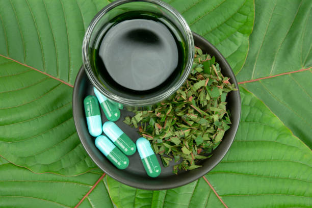 istock Mitragynina speciosa or Kratom 1049426092