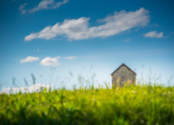 A brick cottage among an evening meadow with beautiful sky