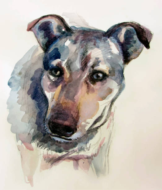 istock Dog. Watercolor realistic painting 1049429746