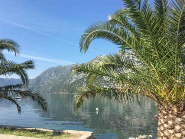 istock Montenegro at the mediterranean Sea 1049430602