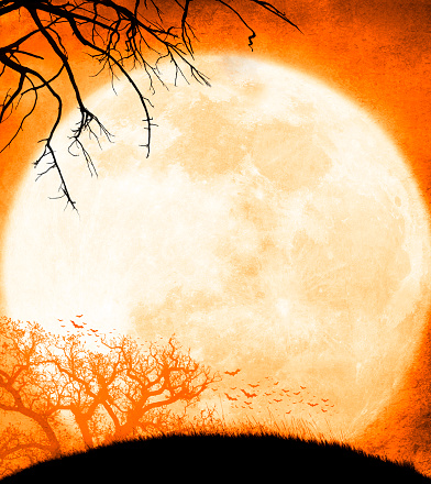 Colonia de murciélagos y árboles desnudos siluetas luna llena de levantamiento photo