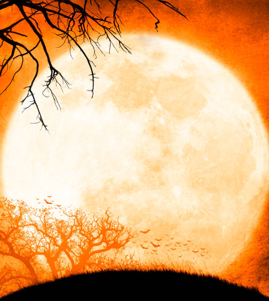A colony of bats and a barren trees are silhouetted against a rising full moon.