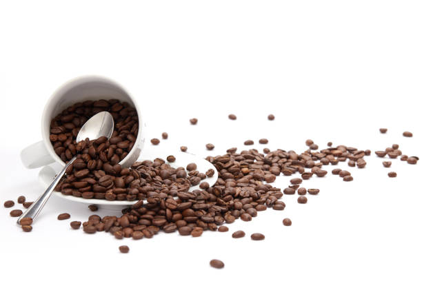 istock Coffee Beans and Cup Isolated on White Background 1049433694