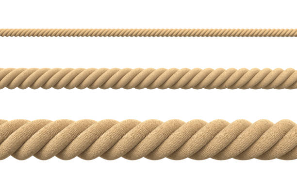 3d Rendering Of Tree Strings Of Rope Of Different Thickness In
