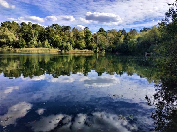 istock Beautiful and calm Waldsee lake in Walldorf 1049450328