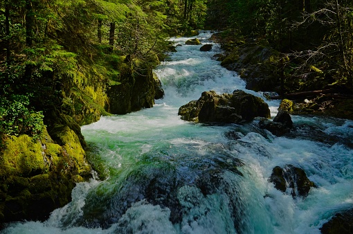 Northwest Oregon's Cascade Range.
Willamette National Forest/NW.
Opal Creek Wilderness.
Above Opal Pool.