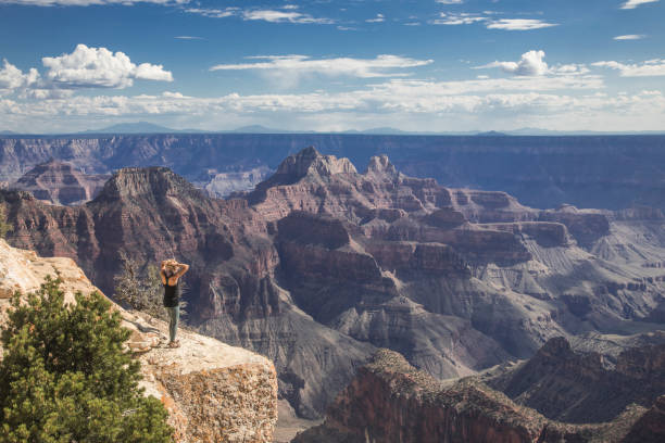 istock Grand Canyon North Rim 1049458902