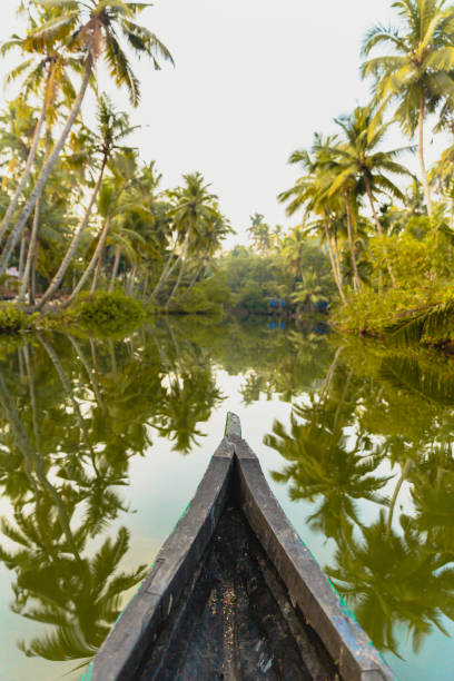 kanufahren auf den backwaters von kerala, indien munroe inseln - flussinsel landform stock-fotos und bilder