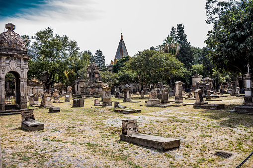 Stoke Old Cemetery summer sunny day Guildford Surrey England Europe