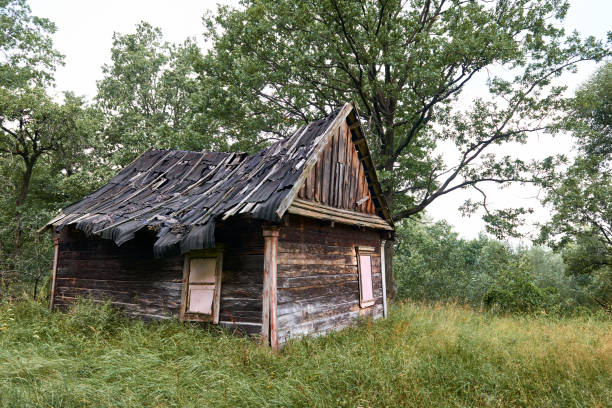 istock old wooden house in the forest 1049465834