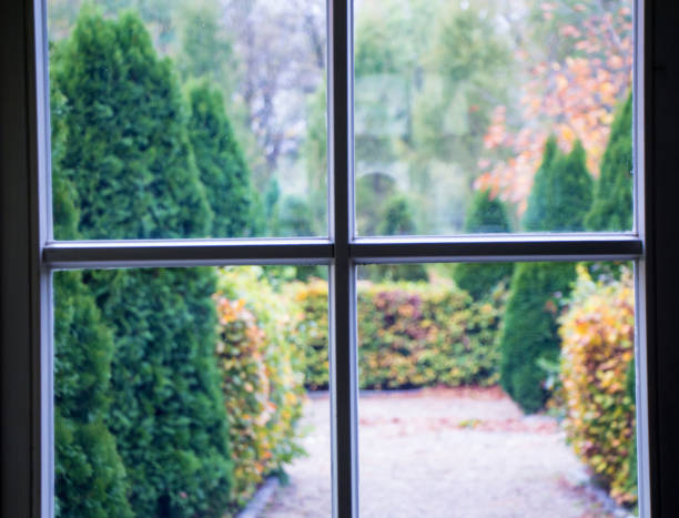 istock window and a view of a garden 1049468826