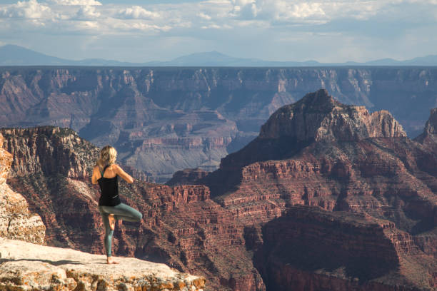 istock Grand Canyon North Rim 1049469480