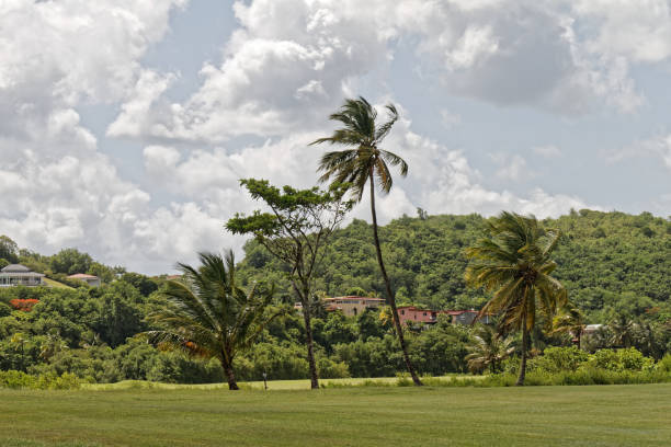 Les Trois-Ilets Golf course - Martinique, FWI