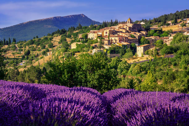 istock Aurel town and lavender fields in  Provence, France 1049472508