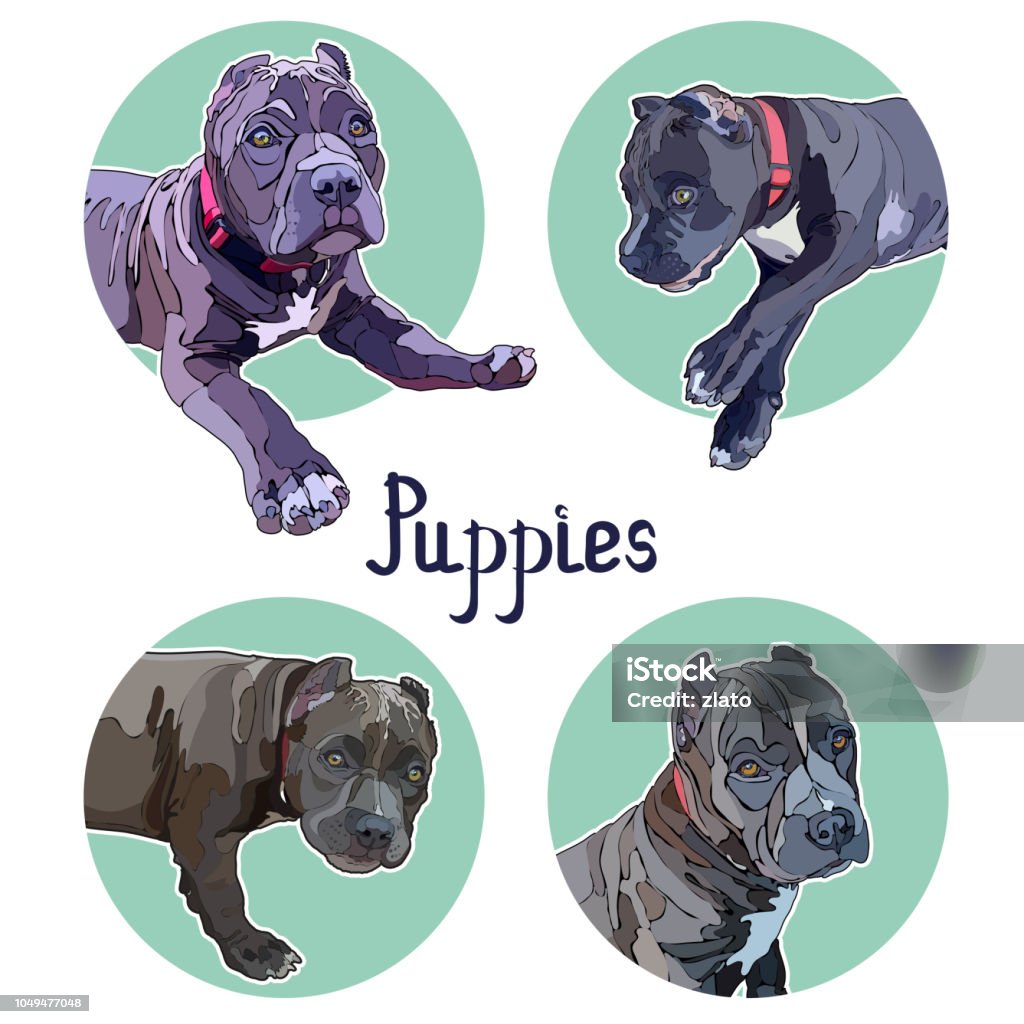 Stickers with pitbulls Stickers with pitbulls. Vector illustration, EPS 10 Bullying stock vector
