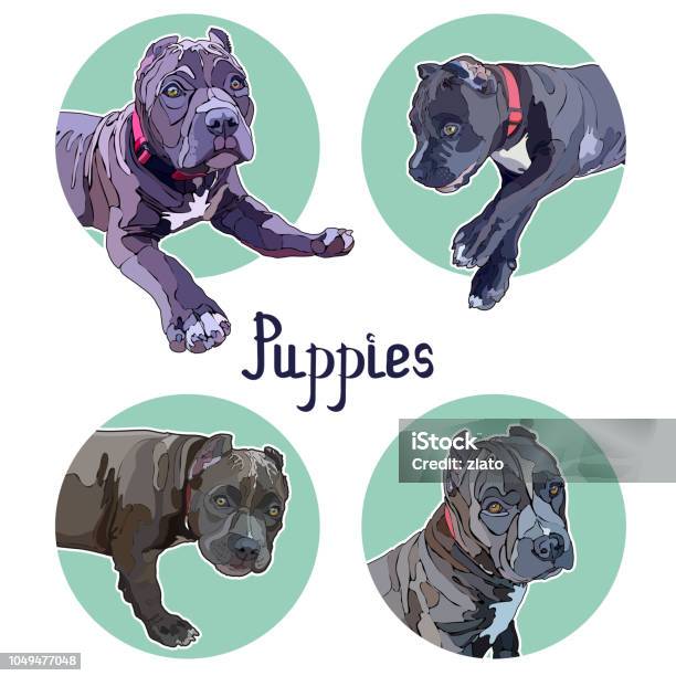 Stickers With Pitbulls Stock Illustration - Download Image Now - Bullying, Dog, Anger