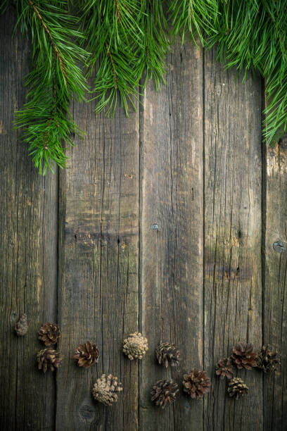 istock Christmas wooden background with ir tree and pinecones 1049483466