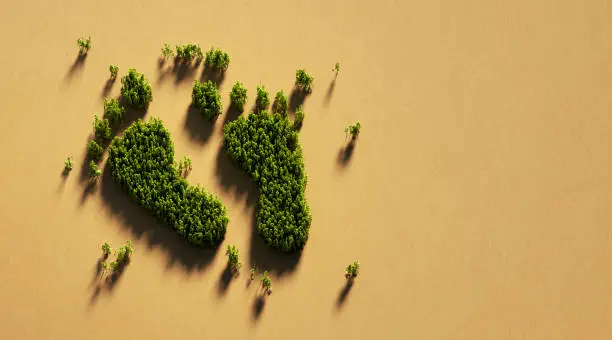 Photo of Human Foot Print Symbol Made Of Green Trees On Recycled Paper : Green Energy And Carbon Footprint Concept