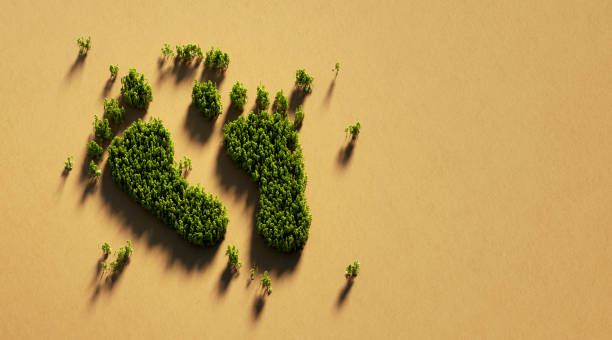 human foot print symbol made of green trees on recycled paper : green energy and carbon footprint concept - recycling carbon footprint footprint sustainable resources imagens e fotografias de stock