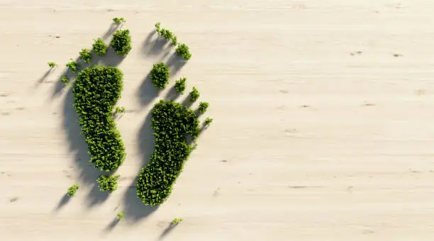 Human foot print symbol made of green trees on wood background. Directly above. Horizontal composition with copy space. Green energy concept.