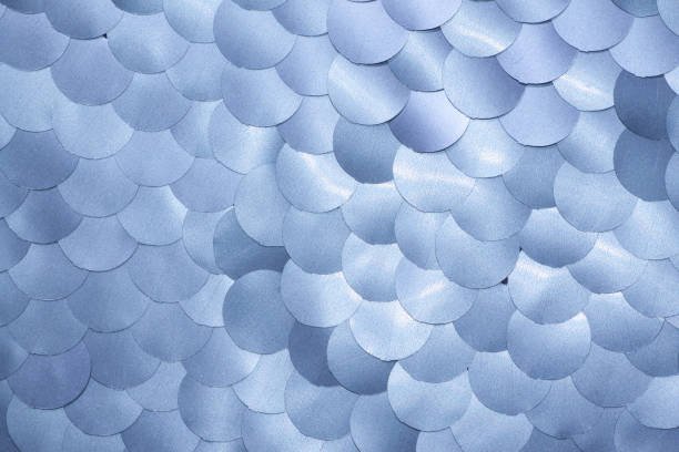 istock Large shiny semi-matt silvery sequins background. 1049498308