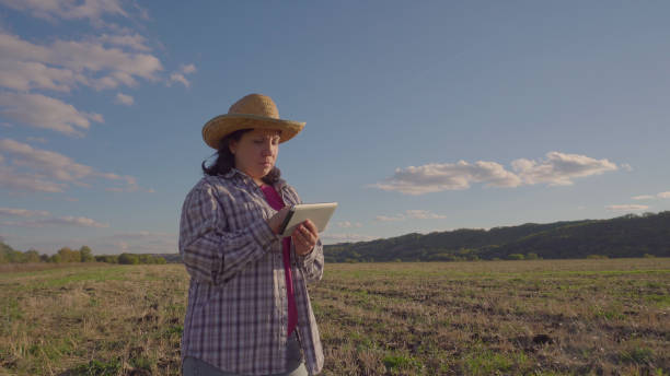 istock Woman in straw hat working with a tablet in the field 1049505842