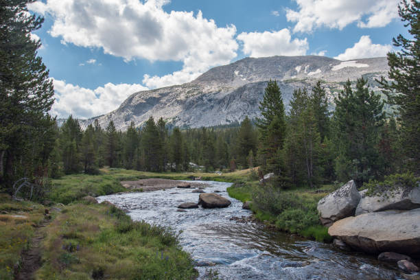 istock Yosemite National Park 1049509990