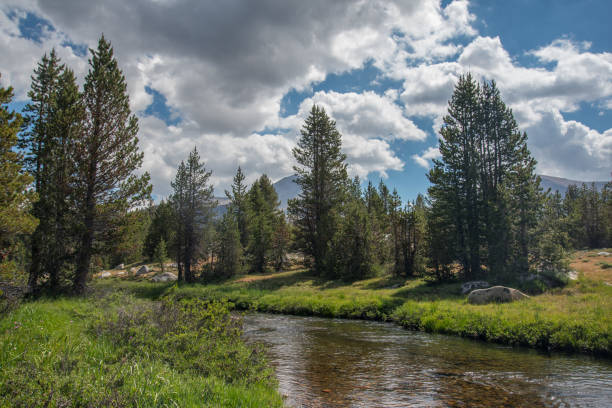 istock Mountain landscape in Yosemite 1049512374