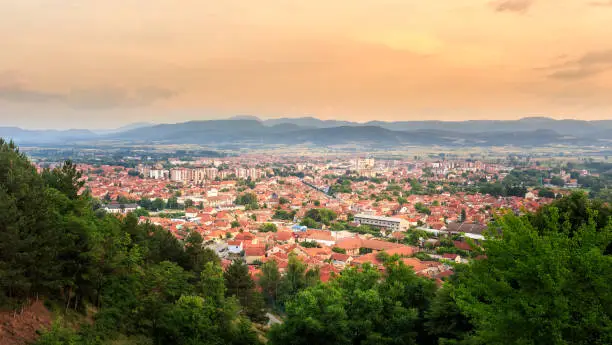 Photo of Pirot cityscape at golden hour framed by the trees