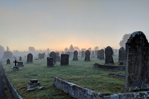 Misty cemetery