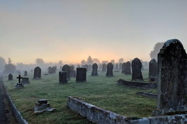 misty cemetery - green cross imagens e fotografias de stock