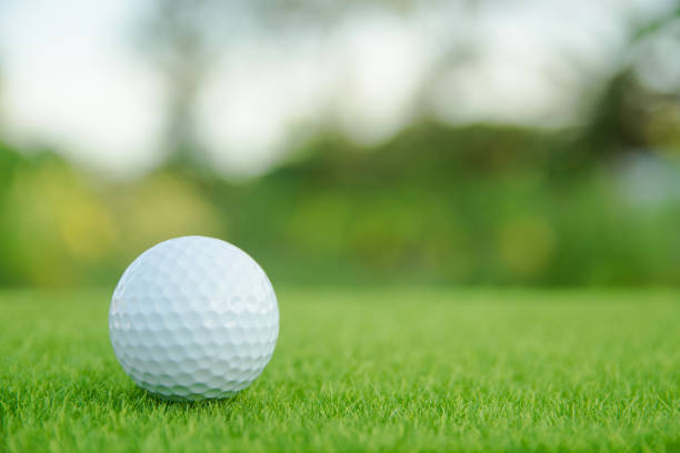 istock Golf ball on green grass ready to play at golf course. with copy space 1049548362