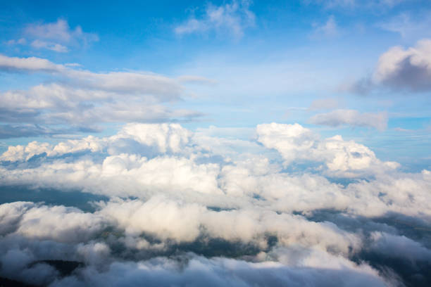 istock Fog and cloud mountain valley spring landscape.Forested mountain slope in low lying cloud with the evergreen conifers shrouded in mist in a scenic landscape view. 1049548478
