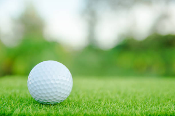 istock Golf ball on green grass ready to play at golf course. with copy space 1049551182