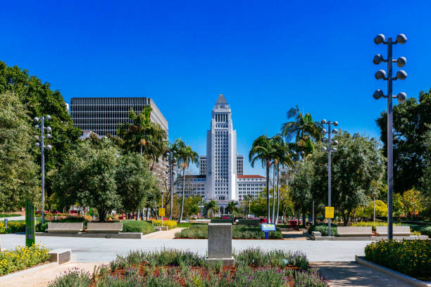 los angeles city hall viewed from grand park - los angeles city hall imagens e fotografias de stock