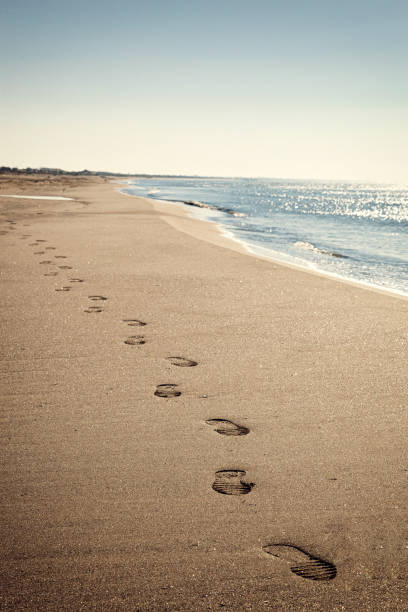 istock Coastal landscape with thin beach and blue sea 1049562912