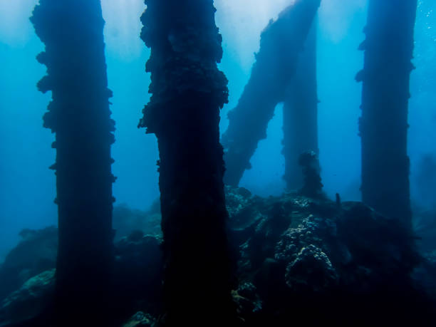 Silhouettes of Crusted Collapsed Pier Pilings Underwater stock photo