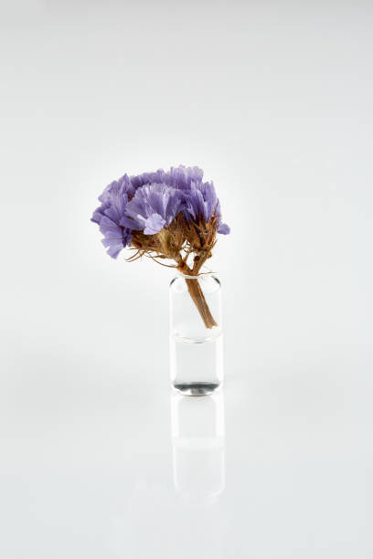 istock Violet flower in ampoule with medicine on white background 1049576084
