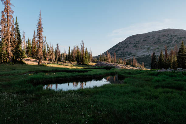 istock Utah Alpine Lake at Sunset in a Pine Forest 1049579414