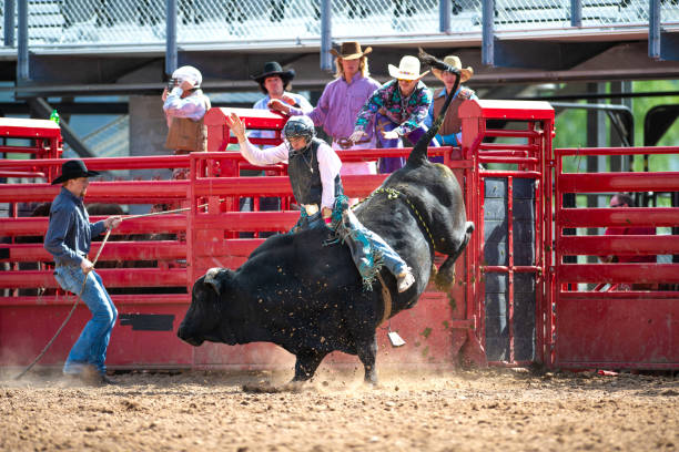 istock Cowboy Bull Riding in Rodeo Arena 1049584104