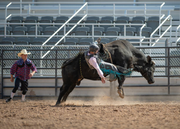 istock Cowboy Bull Riding in Rodeo Arena 1049584112