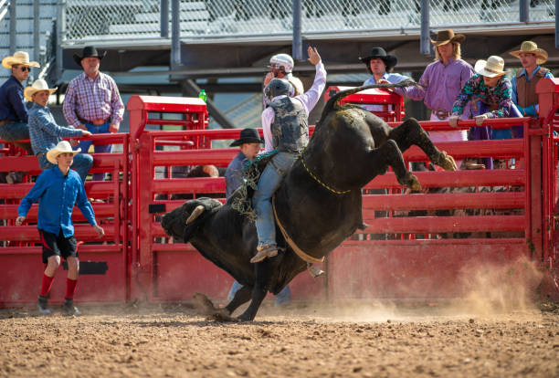 istock Cowboy Bull Riding in Rodeo Arena 1049584114
