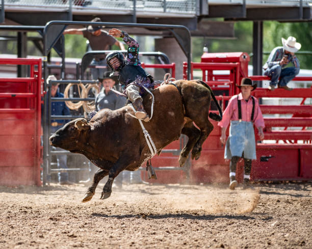 istock Cowboy Bull Riding in Rodeo Arena 1049584118