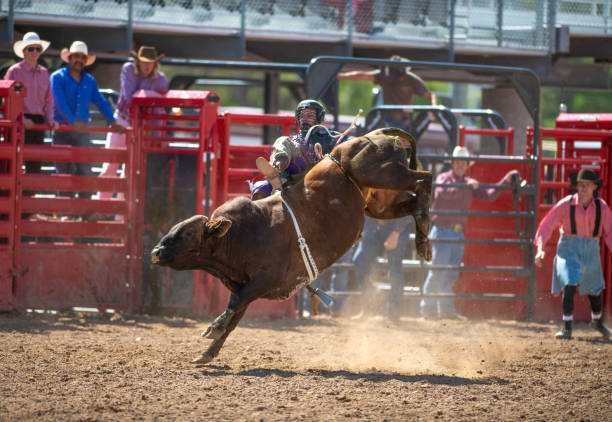 istock Cowboy Bull Riding in Rodeo Arena 1049584122